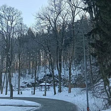 Park *