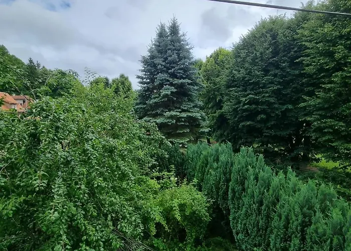 Park Apartmán Jedlina-Zdroj